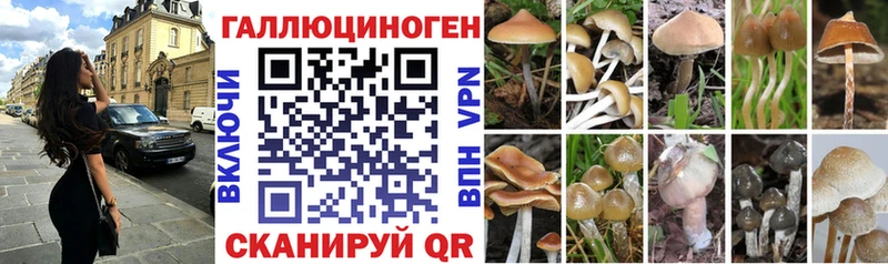 Галлюциногенные грибы ЛСД  OMG зеркало  Олёкминск 